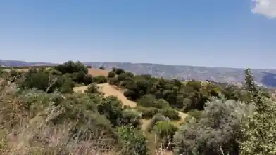 Działka rolna na sprzedaż, Dystrykt Pafos, Dryma