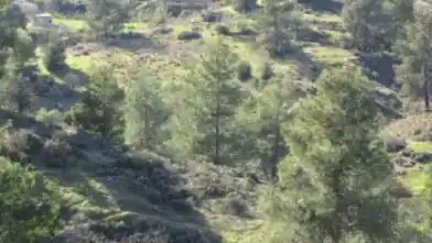 Agriculture Plot for sale, Nicosia