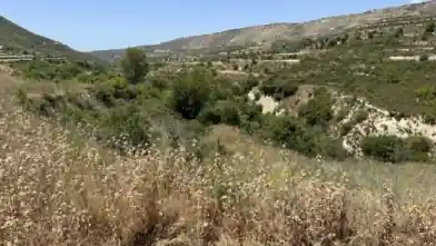Գյուղատնտեսական հողամաս վաճառքիԼիմասոլում, Ահիոս Ամբրոսիոսում