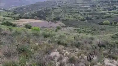 Agriculture Plot for sale, Limassol, Pachna