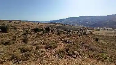 Agriculture Plot for sale, Paphos, Kelokedara