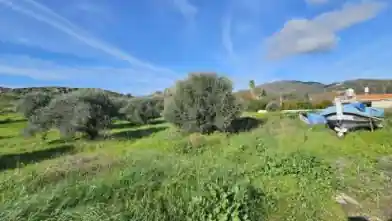 Agriculture Plot for sale, Larnaca, Kornos