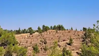 Agriculture Plot for sale, Nicosia, Agios Epifanios