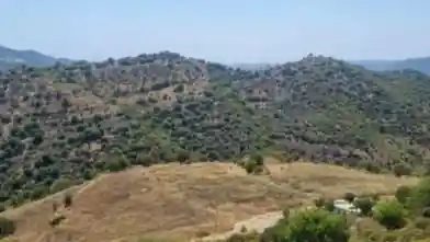 Agriculture Plot for sale, Limassol, Dora