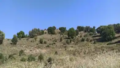 Działka rolna na sprzedaż, Dystrykt Pafos, Kielokiedara