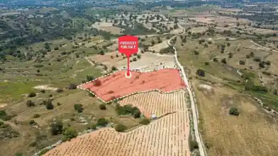 Agriculture Plot for sale, Limassol, Pachna
