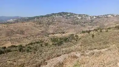 Agriculture Plot for sale, Paphos, Kelokedara