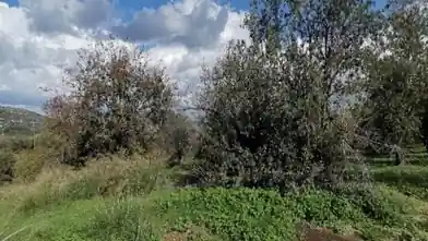 Agriculture Plot for sale, Paphos, Giolou