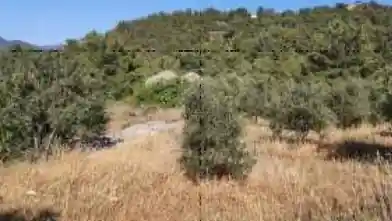 Działka rolna na sprzedaż, Dystrykt Pafos, Kinusa
