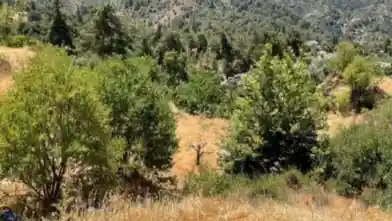 Agriculture Plot for sale, Limassol, Kato Milos