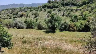 Agriculture Plot for sale, Limassol, Dora