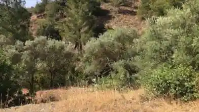 Agriculture Plot for sale, Limassol, Kalo Chorio