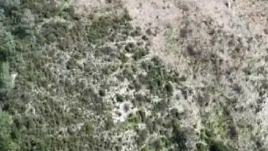 Agriculture Plot for sale, Limassol, Gerasa
