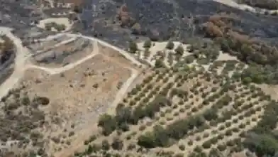 Agriculture Plot for sale, Paphos, Giolou