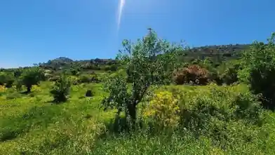Agriculture Plot for sale, Larnaca, Kato Lefkara, Dimos Lefkaron