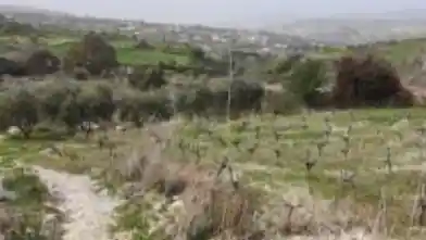 Agriculture Plot for sale, Paphos, Stroumpi