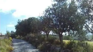 Agriculture Plot for sale, Paphos, Thrinia