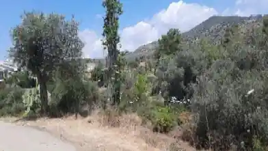 Agriculture Plot for sale, Larnaca, Lageia