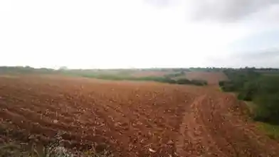 Agriculture Plot for sale, Famagusta, Paralimni, Dimos Paralimniou-Deryneias
