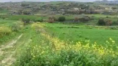 Działka rolna na sprzedaż, Dystrykt Pafos, Strumbi
