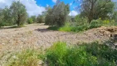 Agriculture Plot for sale, Paphos, Thrinia