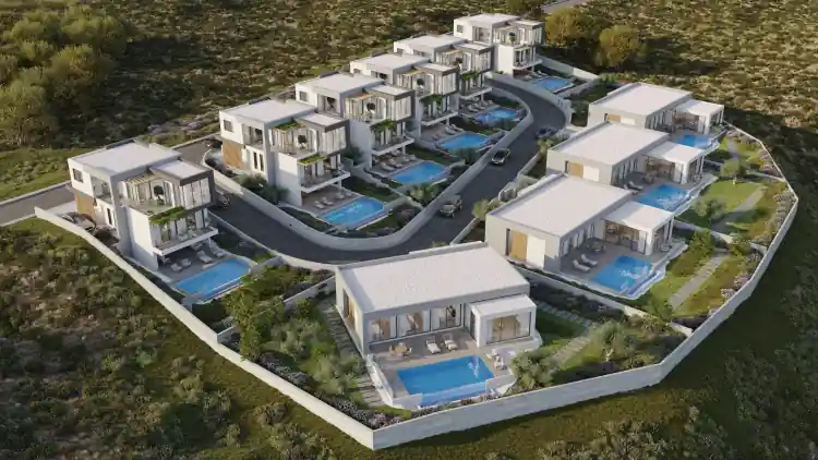 Project Image 6