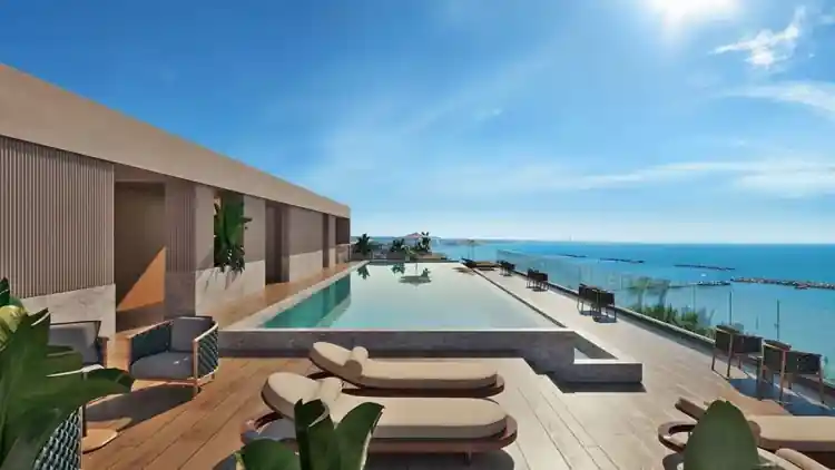 Project Image 1