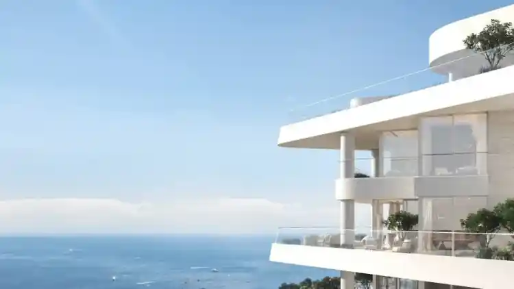 Project Image 2