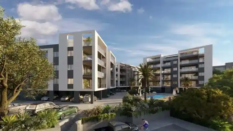 Project Image 1