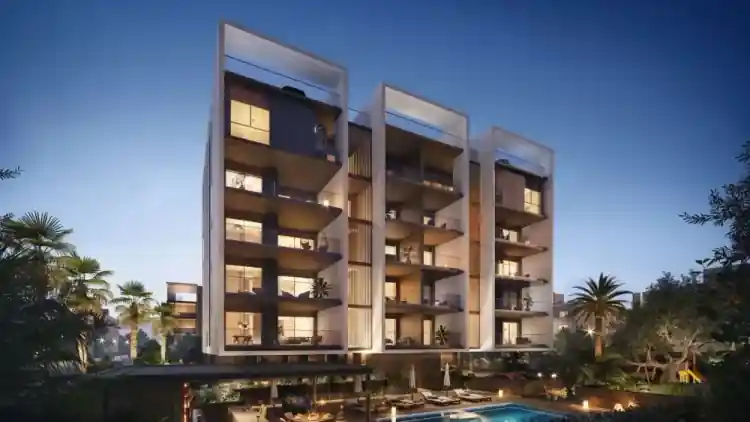Project Image 1