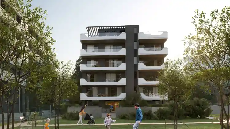 Project Image 7
