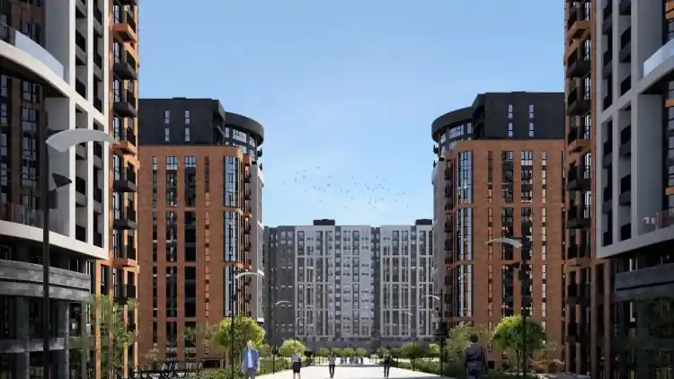 Project Image 7