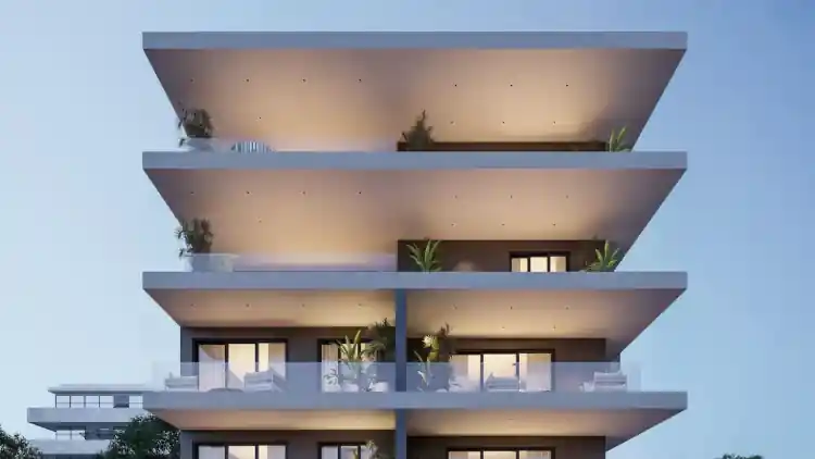 Project Image 1
