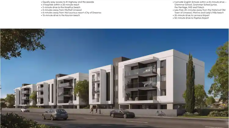 Project Image 7