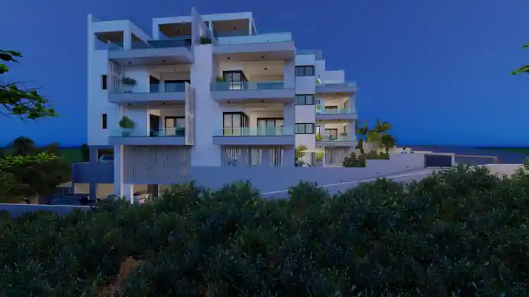 Project Image 1
