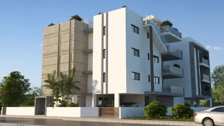 Project Image 12