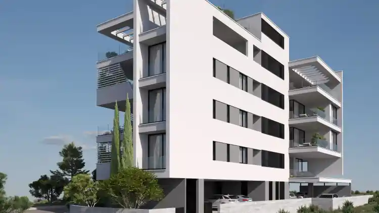 Project Image 8