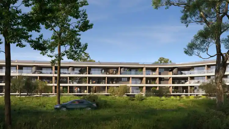 Project Image 7