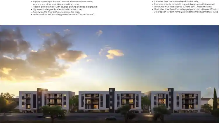 Project Image 2