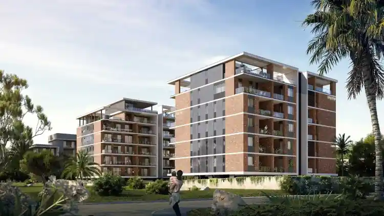 Project Image 4