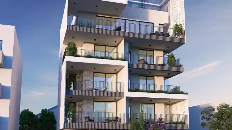 Project Image 6