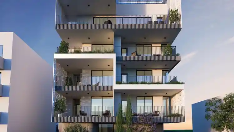 Project Image 7