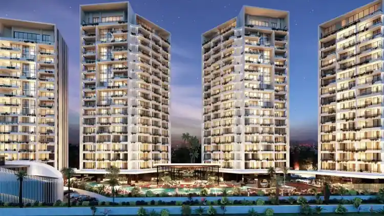 Project Image 11