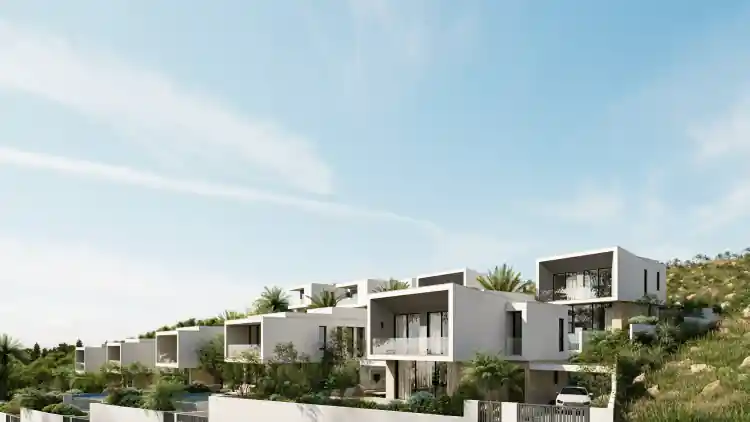 Project Image 8