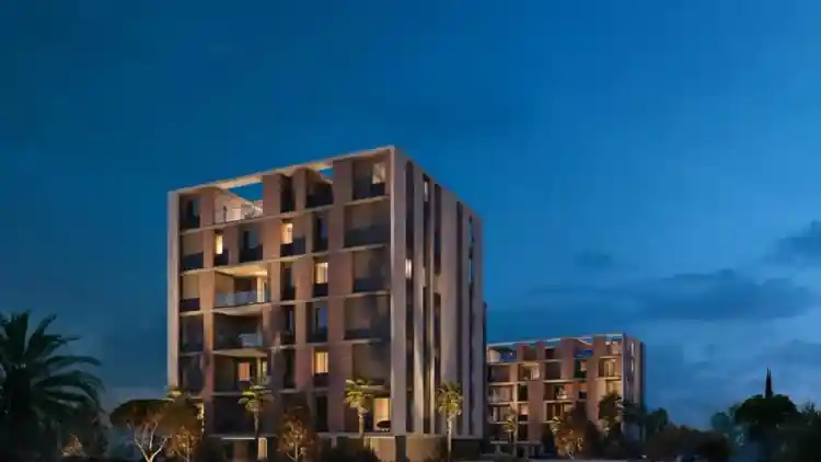 Project Image 1