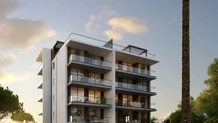 Project Image 5