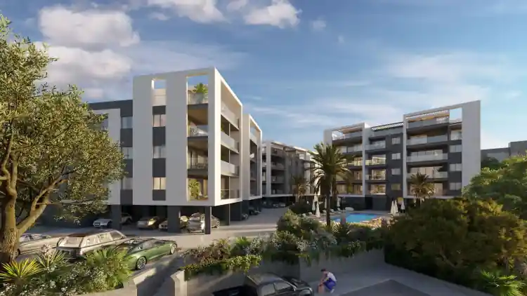 Project Image 6