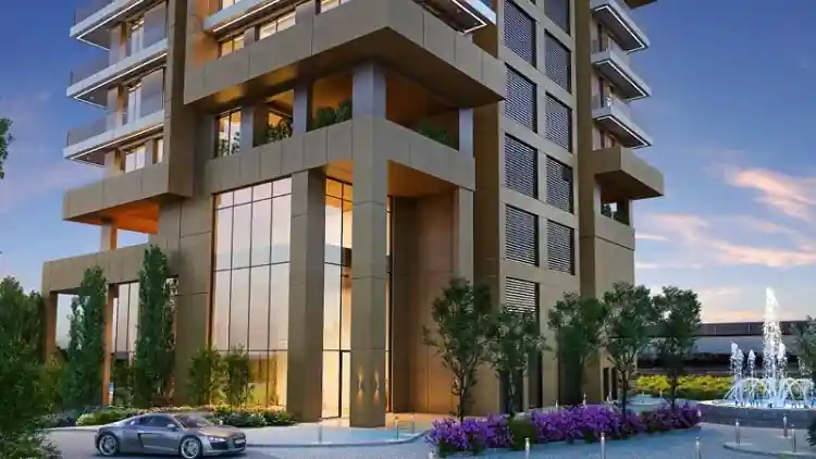 Project Image 19