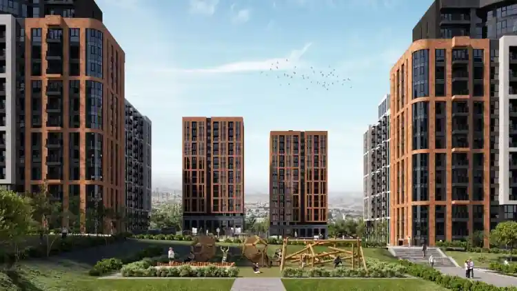 Project Image 1