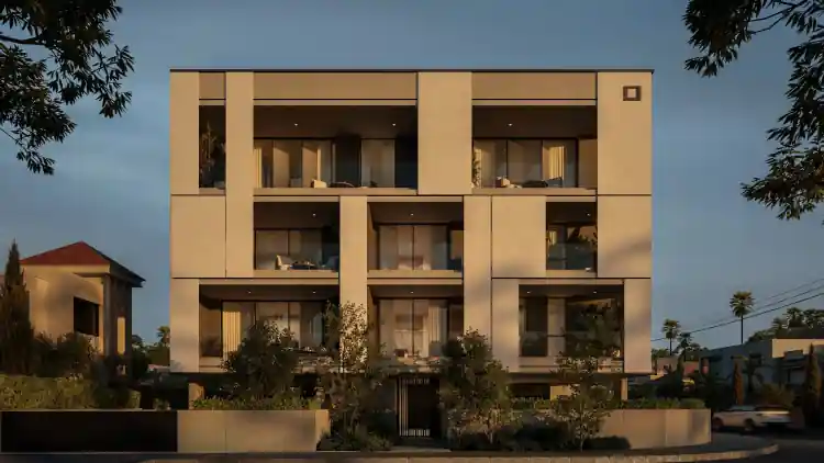 Project Image 1